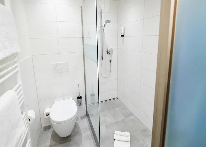 Hotel Wohlfuehlhotel Frohsinn 3*