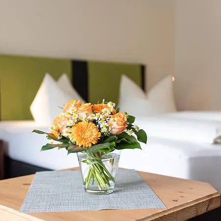 Hotel Wohlfuehlhotel Frohsinn 3*