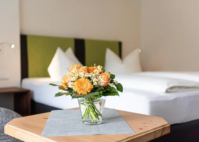 Hotel Wohlfuehlhotel Frohsinn 3*